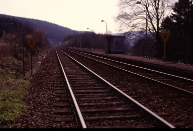 Coo - TH 83-3675.jpg